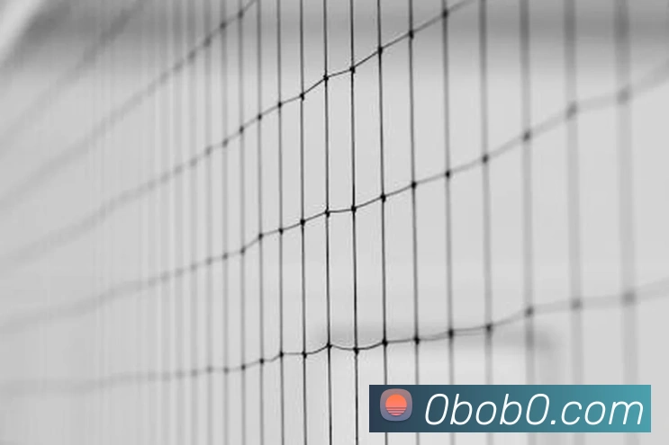 未来规划